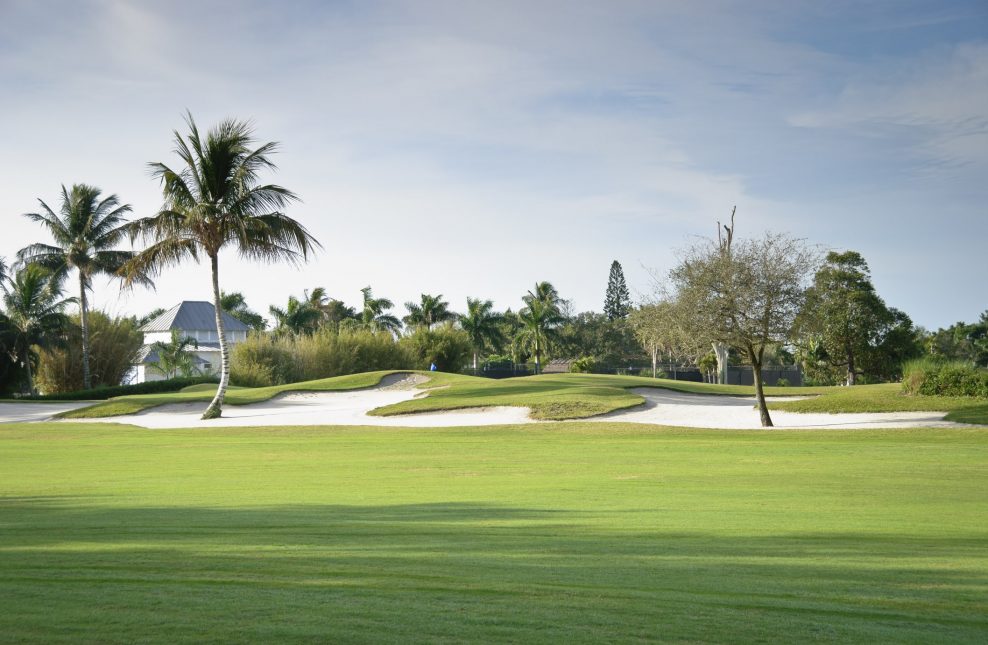 Big sand trap complete with palm tree on a Florida golf course. Horizontal, nobody.